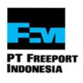 Freeport Indonesia